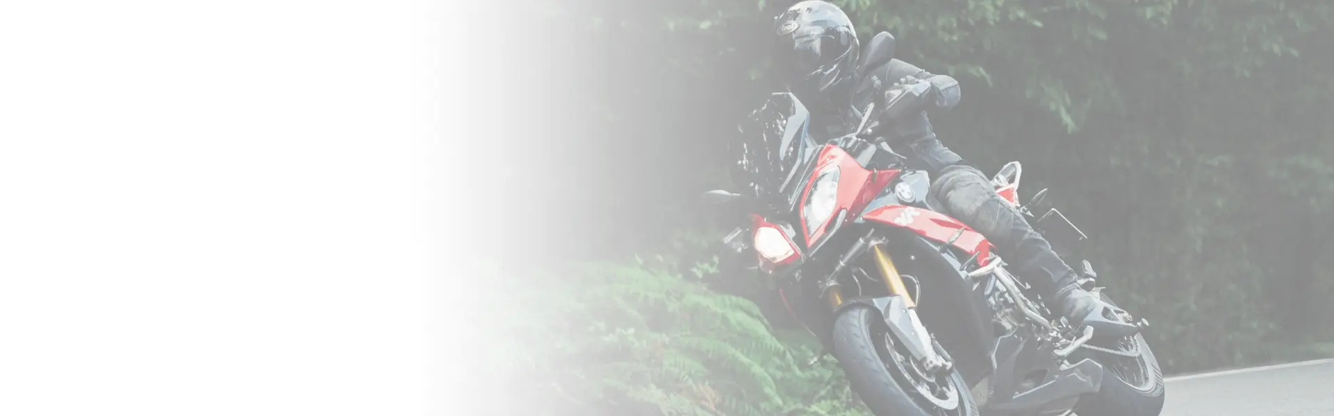 Motorcyclist leaning into a turn on a forested road